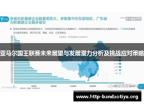 亚马尔国王联赛未来展望与发展潜力分析及挑战应对策略