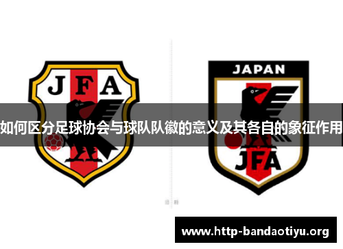 如何区分足球协会与球队队徽的意义及其各自的象征作用