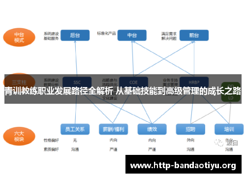 青训教练职业发展路径全解析 从基础技能到高级管理的成长之路 青训教练职业发展路径全解析 从基础技能到高级管理的成长之路