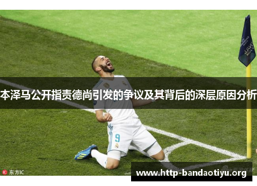 本泽马公开指责德尚引发的争议及其背后的深层原因分析